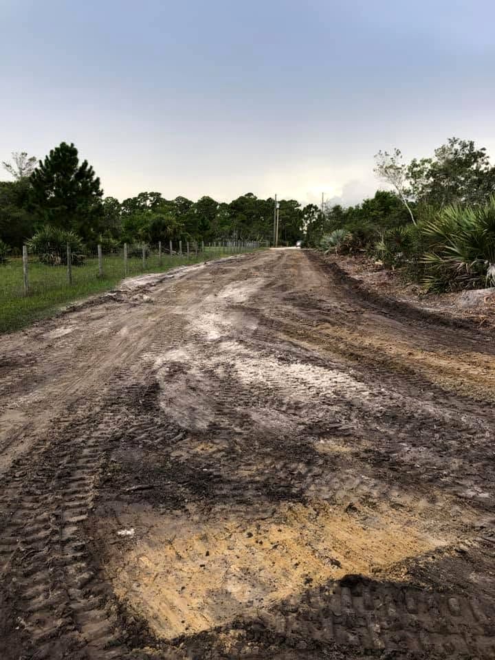 Freshly graded path between a fence line and palmettos